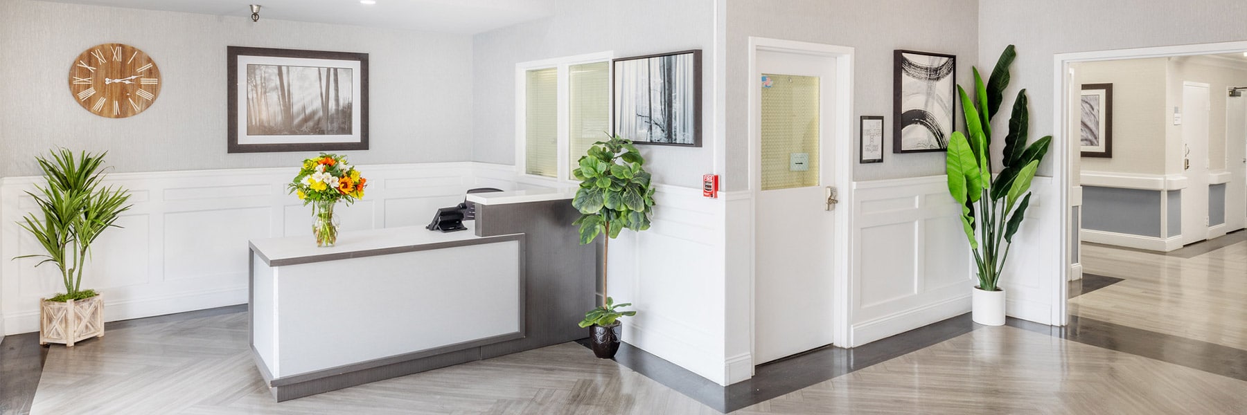 Desktop Background Image